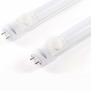 Ống huỳnh quang LED