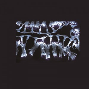 LED Đèn Giáng sinh