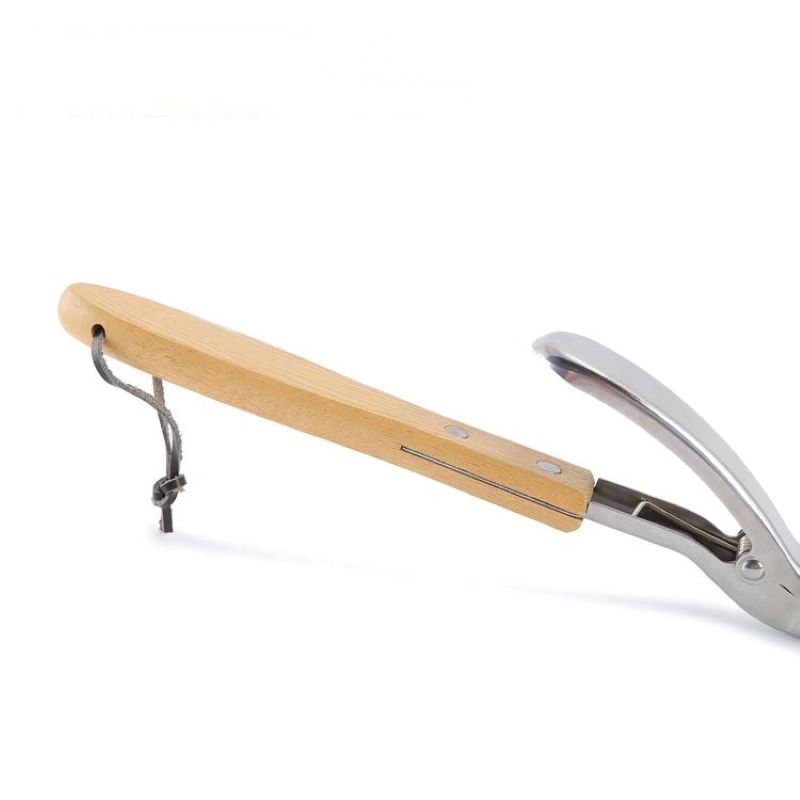 Sử dụng một lần 2 trong 1 BBQ Nướng thìa&kẹp đểnướngngoài trời,nhiều mục đích