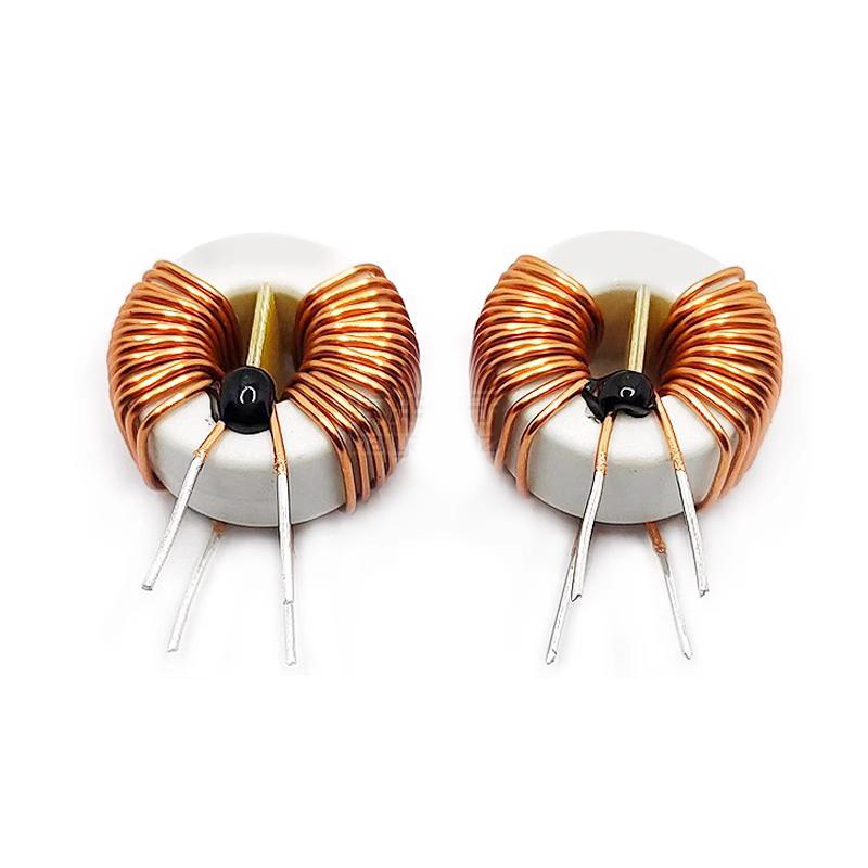 Cuộn cảm hình xuyến vô định hình - cuộn cảm hình xuyến KIỂM TON