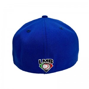 Mũ mới bán Bán buôn Thương hiệunóng được trang bị mũ 6 Bảng Hip Hop Snapback Cap