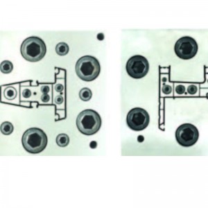 Khuôn hồ sơnhựa được sản xuất tại Trung Quốc