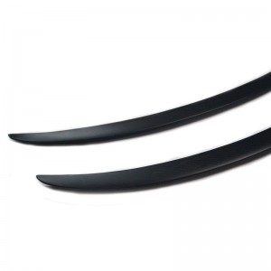 Cánh cánh lướt gió sau carbon fiber car
