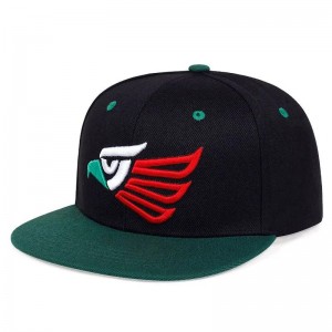 Bán buôn Snapback Map Custom có ​​thể điều chỉnh mũ Hip Hop với logo được thực hiện ở Pakistan
