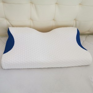 Thiết kế bướm cho gối hình thành bộnhớ phụ