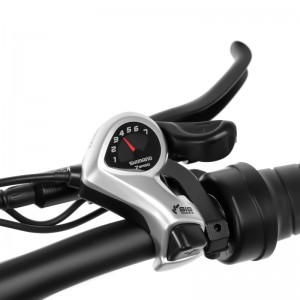 Xe đạp điện lốp xe 20 inch