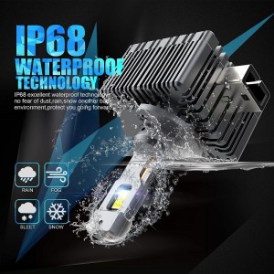 D1S/R Bóng đèn đèn pha LED