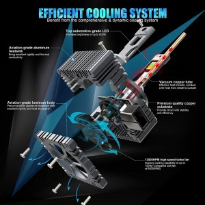 D1S/R Bóng đèn đèn pha LED