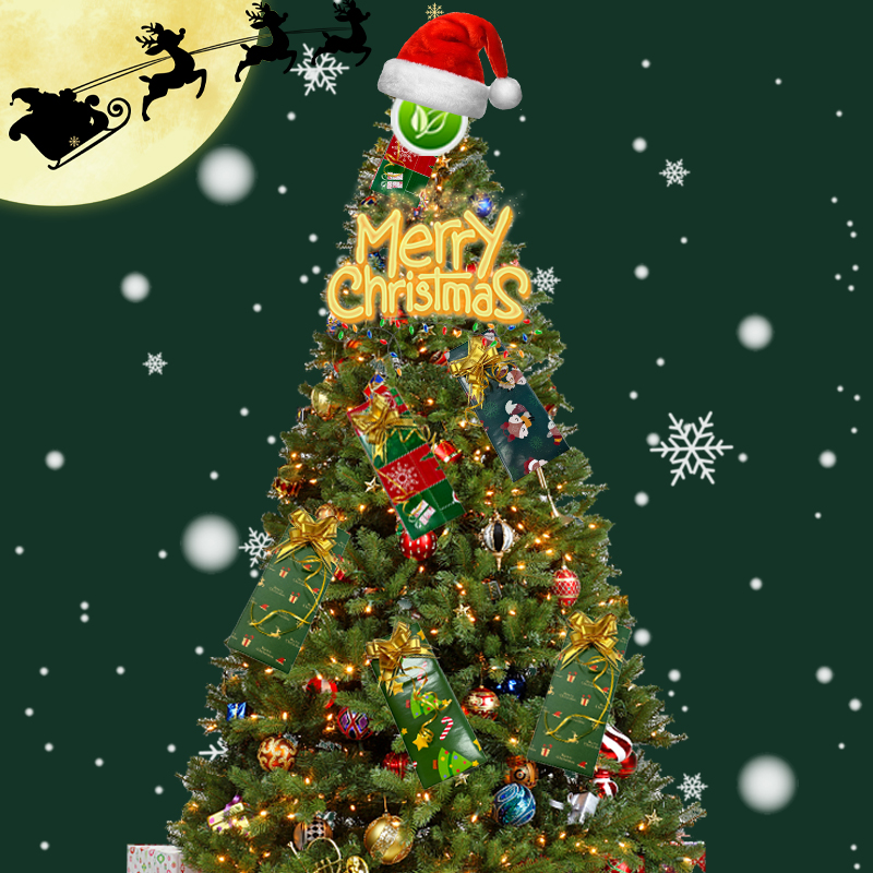 Một lá thư ban phước chân thành từ Tuaye