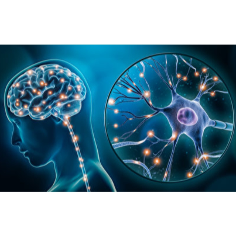 NMN: Sự chậm trễ hệ thống thần kinh trung ương