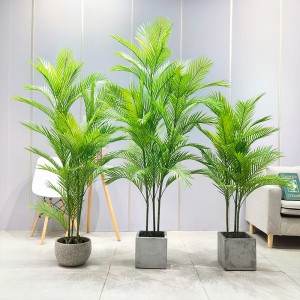 Mô phỏng cây cọ allseason an toàn và vô hại Dypsis lutescens chonhà cung cấp vườn trang trí đám cưới trang trí làm vườn