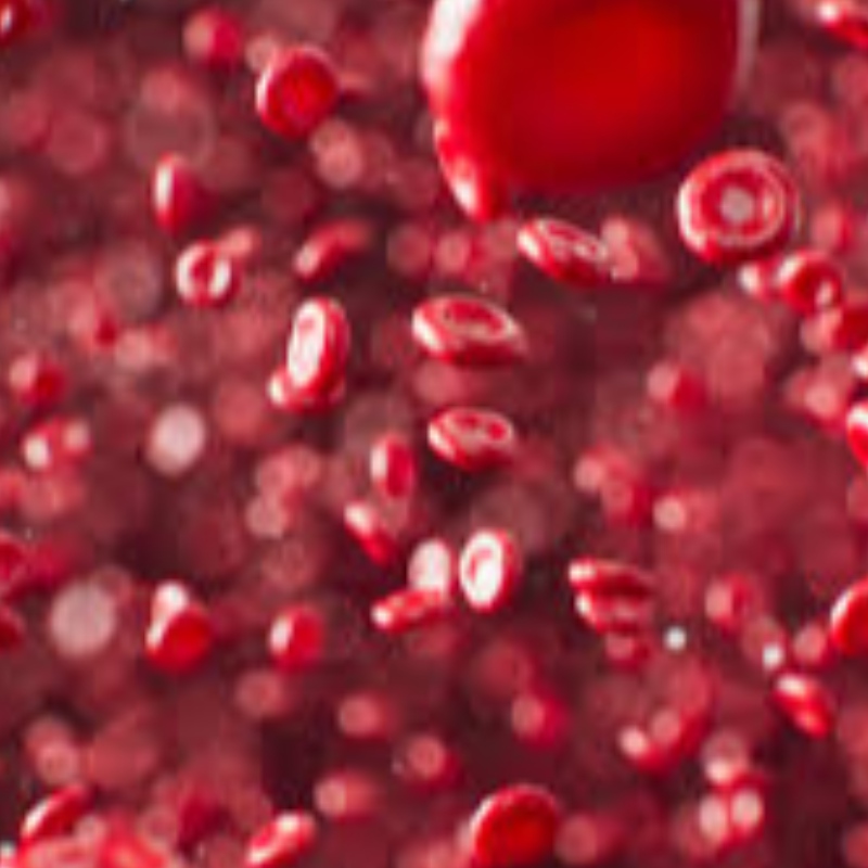 Cácnhà khoa học Thụy Sĩ: Tiền thân NAD+có thể thúc đẩy hiệu quả chứcnăng tạo máu