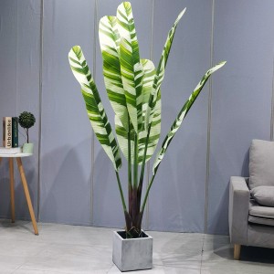 Mô phỏng cây cọ câynhân tạo có khảnăng thích ứng cao cây chuối chonhà cung cấp vườn trang trí trang trí làm vườn