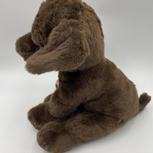 Sô cô la Brown Lab Labrador Lab Puppy Puppy