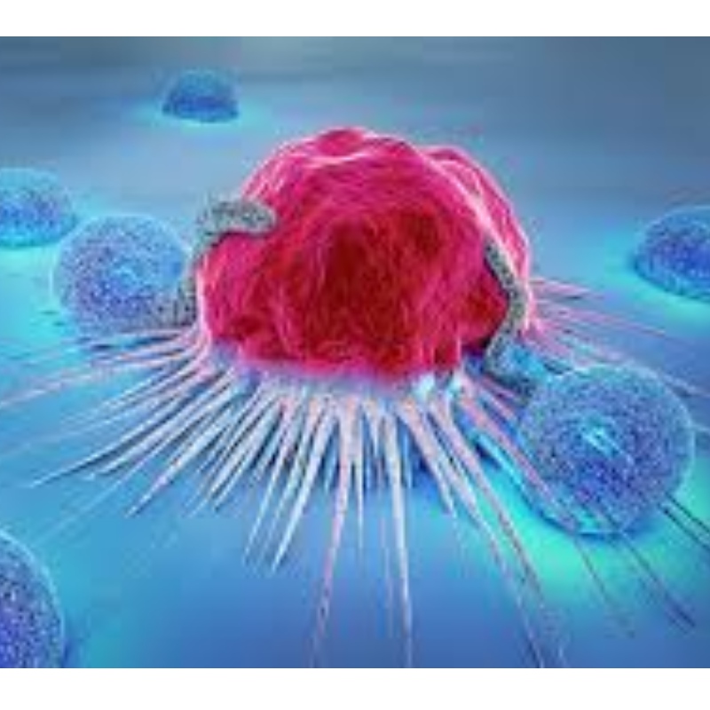 Nhật Bản: NMN chống lão hóa tế bào miễn dịch và ức chế tăng trưởng khối u 71,4%