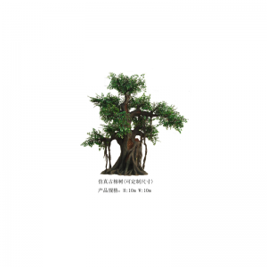 Mô phỏng cây đa lớn(tùy chỉnh)