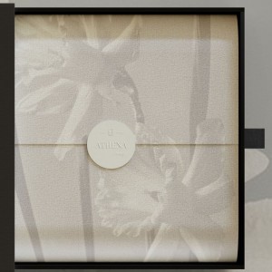 Tam giác tối giản sang trọng